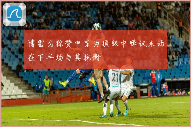 博雷戈称赞申京为顶级中锋仅米西在下半场与其抗衡