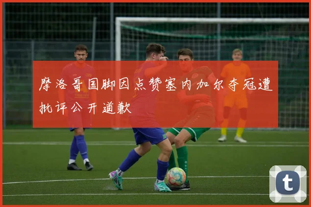 摩洛哥国脚因点赞塞内加尔夺冠遭批评公开道歉