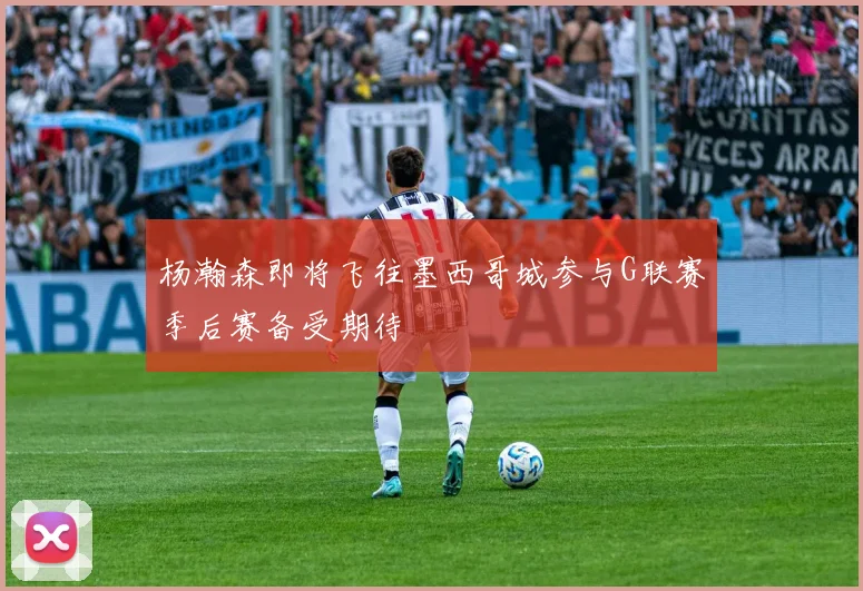 杨瀚森即将飞往墨西哥城参与G联赛季后赛备受期待
